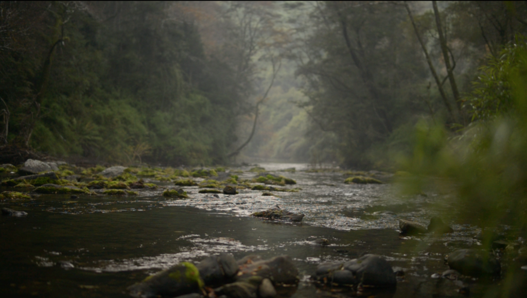 Avances hacia una Reforma al Código de Aguas para Chile Revista Endémico